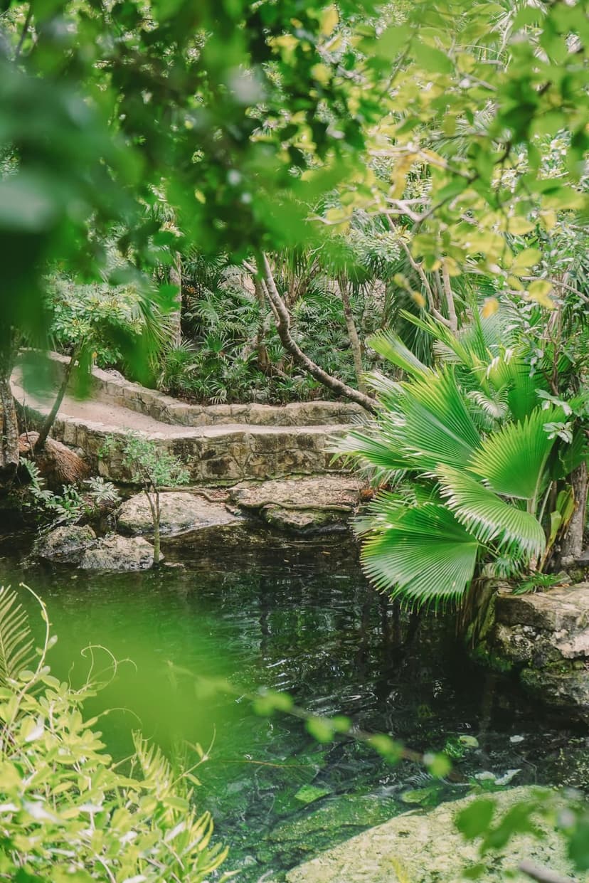 Rise & Shine Jungle Retreat